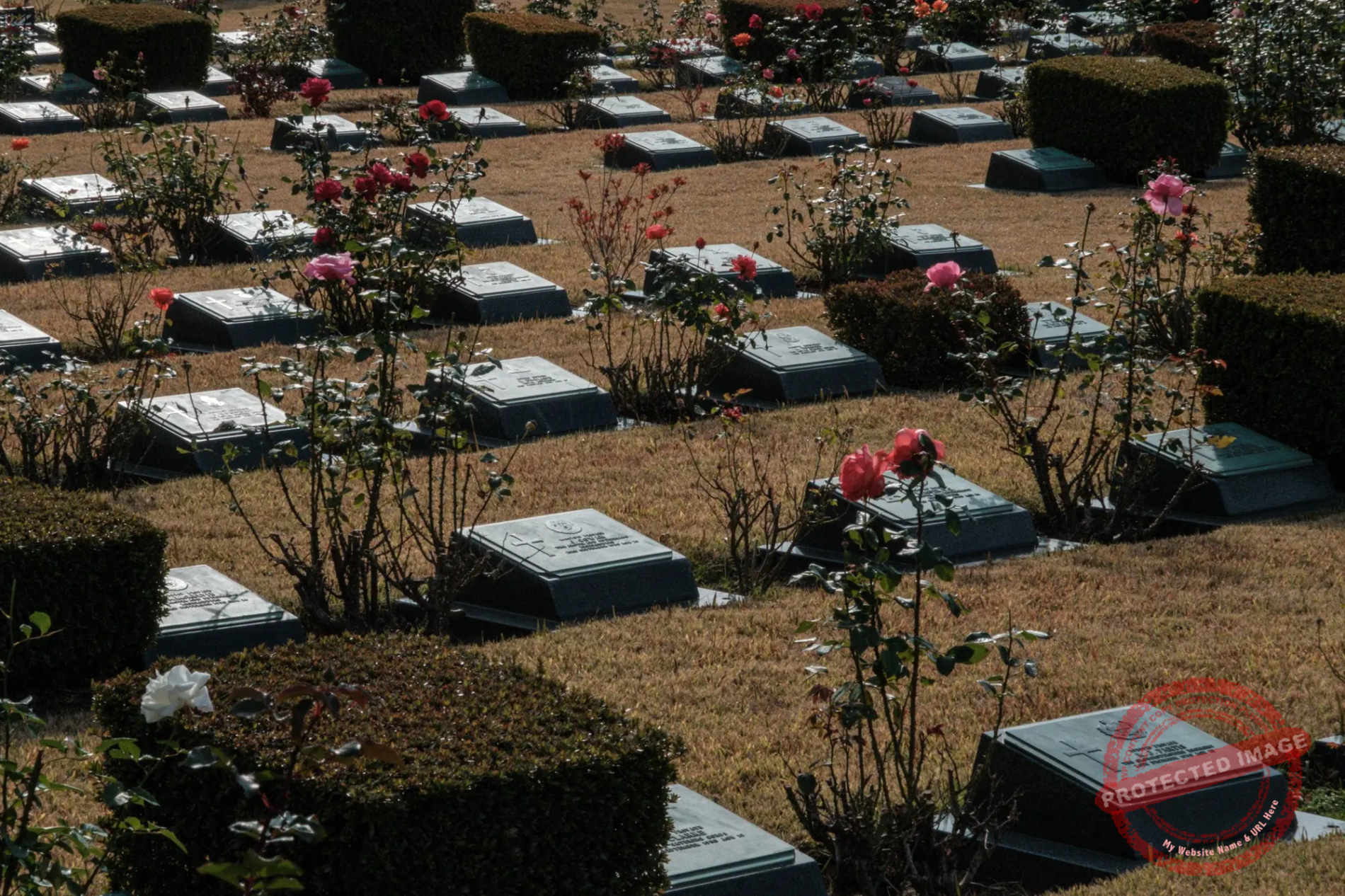 busan-un-cemetery-2024 The United Nations Cemetery in Busan (December 2024).