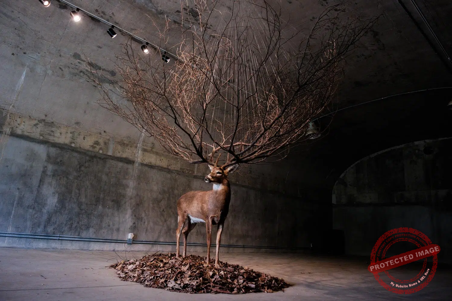 dmz-camp-greaves-13 “One,” by Korean artist Kim Myeong-beom, exhibited in one of the former powder magazines at Camp Greaves (September 2025).