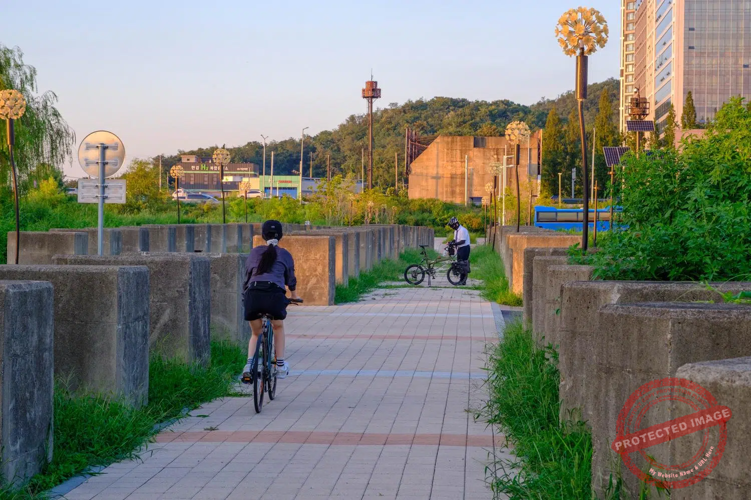 goyang-dragon-teeth-cyclists Cyclists ride through rows of dragon's teeth, anti-tank obstacles, in a park between Jayu-ro and the Han River in Goyang, a suburb of Seoul (September 2025).
