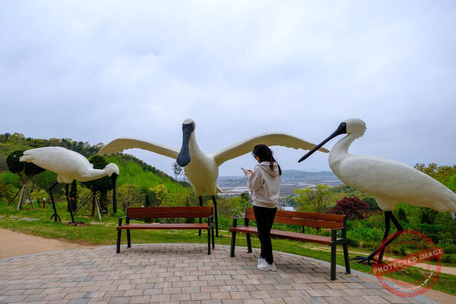 gyodongdo-2025-landscape00006 Hwagaesan Garden, Gyodong Island (May 2025).
