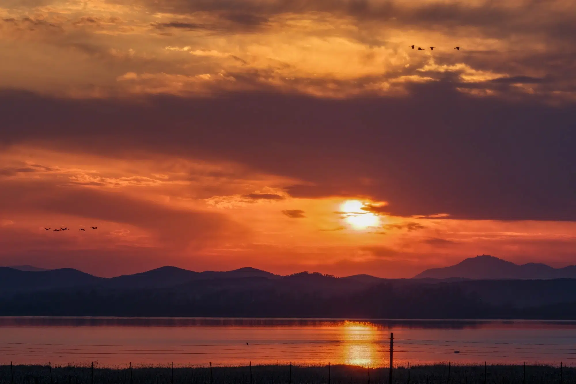  Birds fly over the Imjin River, the border between North and South Korea, at sunset (February 2025).