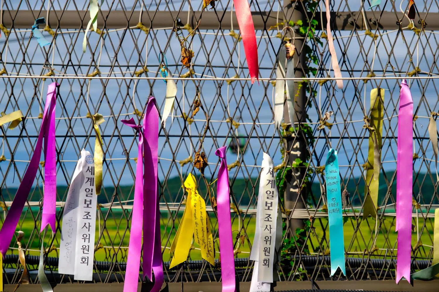 imjingang-ribbons-fence "Peace Ribbons" on the Civilian Control Zone fence at Imjingak Resort in Paju.