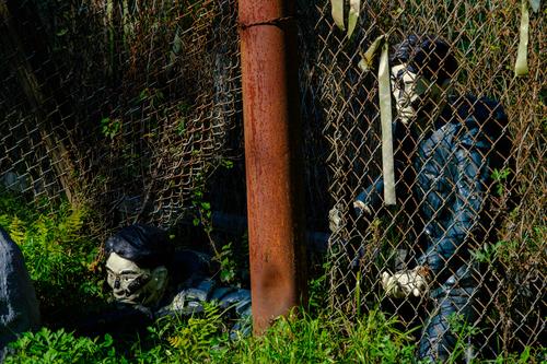 Blue House Raid Infliltration Place