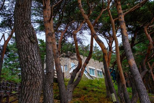 Kim Il Sung's villa, Hwajimpo 