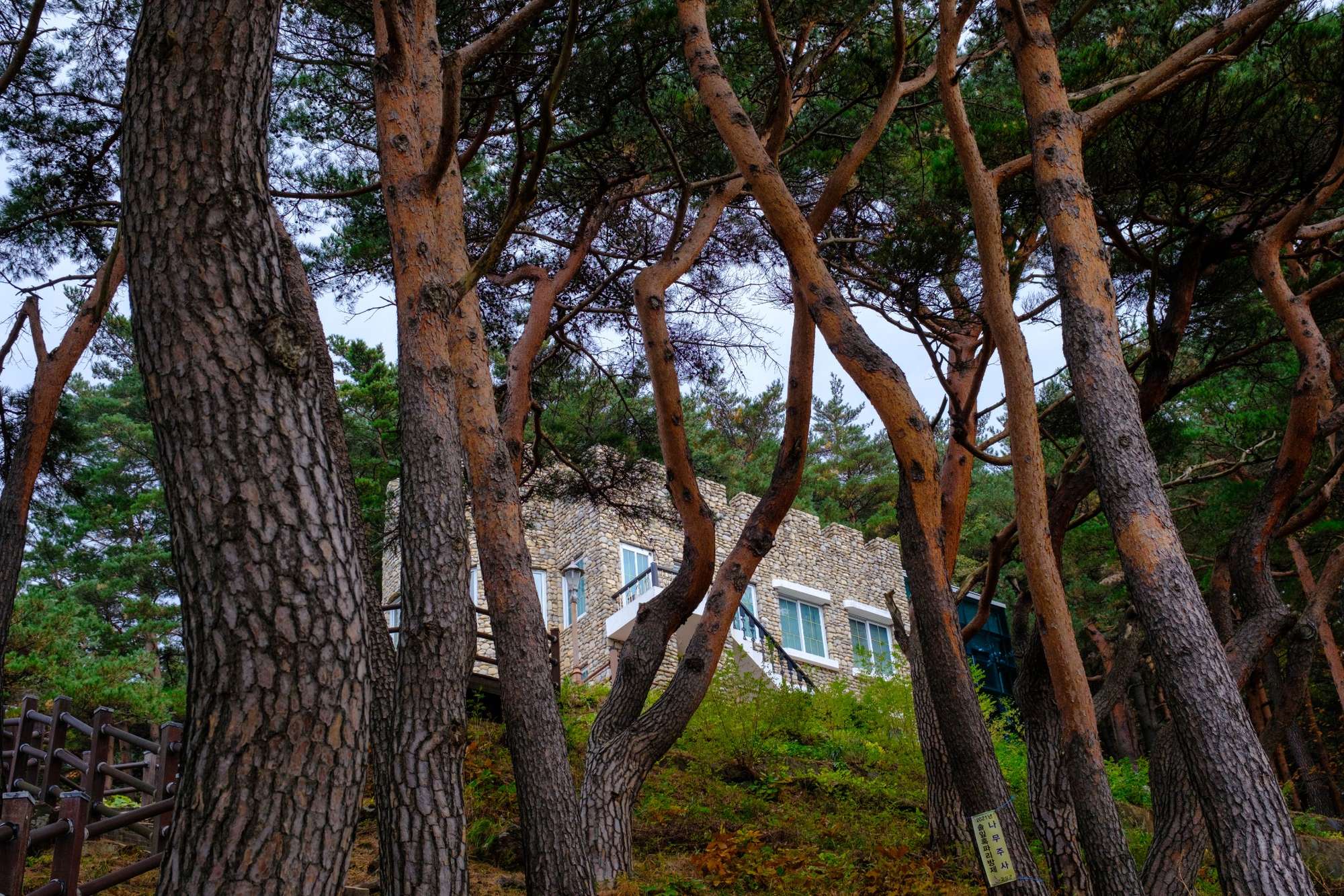Kim Il Sung's former summer cottage near Hwajimpo Lake.
