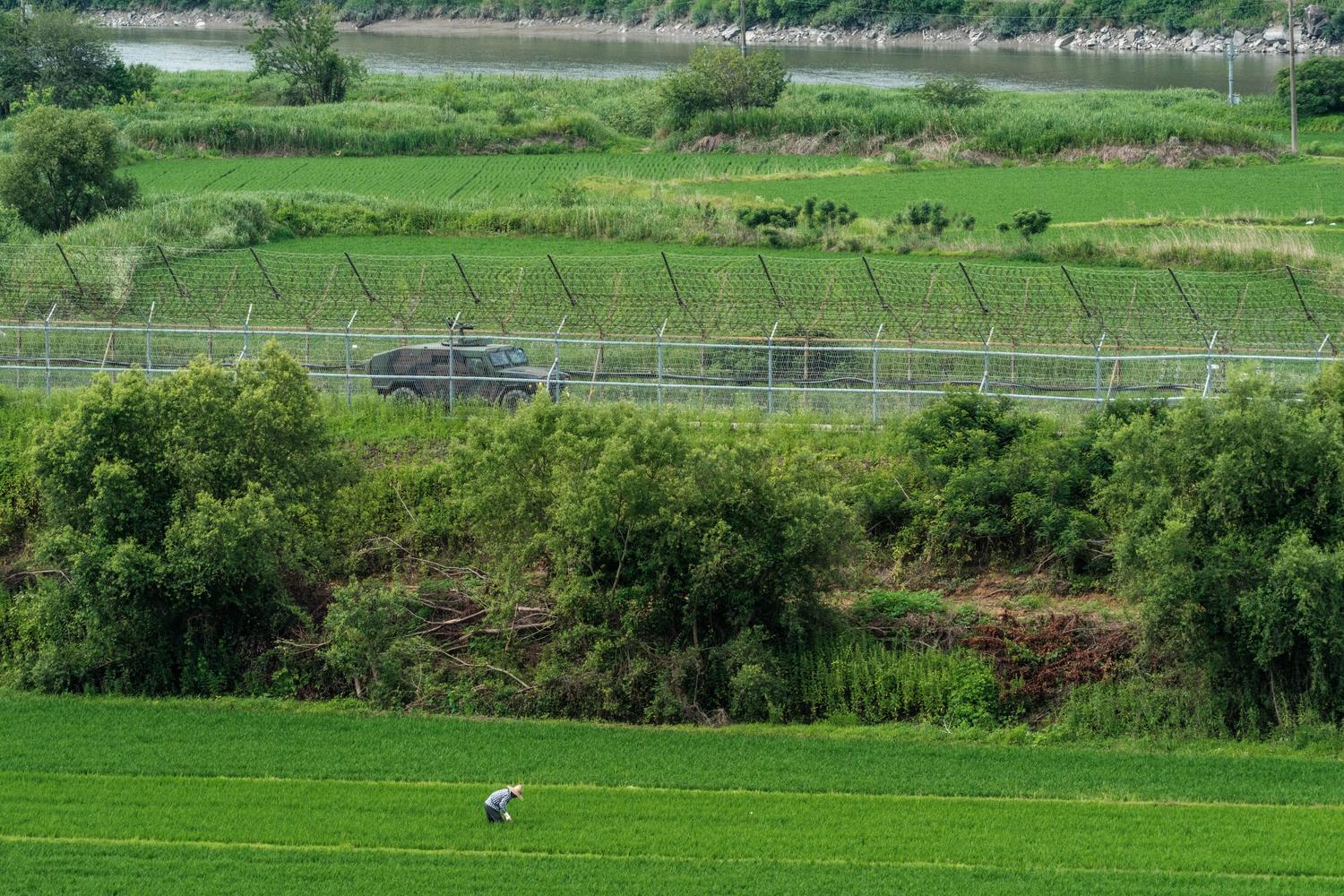 paju-ccz-ricefield-farming-2026 A farmer works in a rice paddy adjacent to the Civilian Control Line (CCL) in Paju (June 2026).