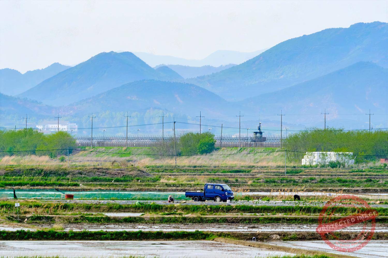siam-ri-wetlands Farming in the Siam-ri wetlands in Gimpo City, next to the border fence and with the North Korean mountains in the background